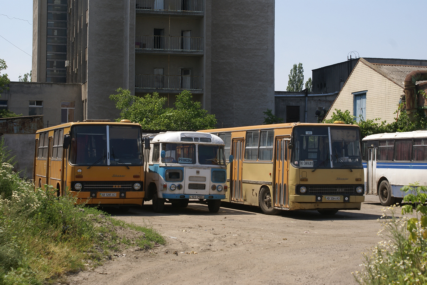 Ikarus-260 #АВ 5285 АС, Ikarus-260 #АВ 5264 АС, ПАЗ-672М №101-79 ВЫ. Вінниця, автобусний парк