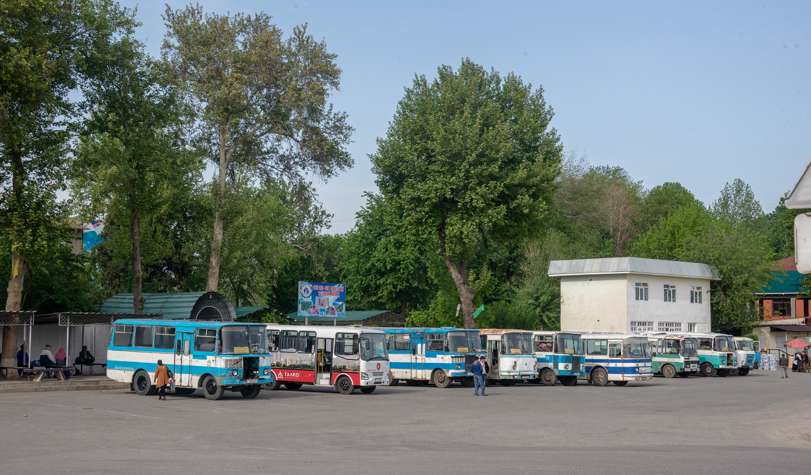 Таджикистан-3205, ЛАЗ-695Н, Кубань-Г1А1. Таджикістан, Турсунзаде